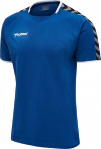 KOSZULKA hmlAUTHENTIC TRAINING TEE