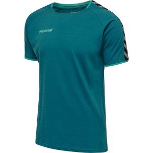 KOSZULKA hmlAUTHENTIC TRAINING TEE