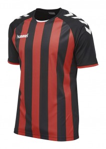 KOSZULKA MĘSKA CORE STRIPED SS JERSEY