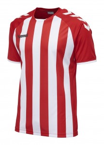 KOSZULKA MĘSKA CORE STRIPED SS JERSEY