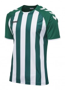 KOSZULKA MĘSKA CORE STRIPED SS JERSEY