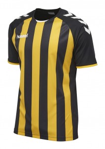 KOSZULKA DZIECIĘCA CORE STRIPED SS JERSEY