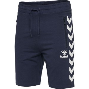 SPODENKI MĘSKIE HMLRAY SHORTS